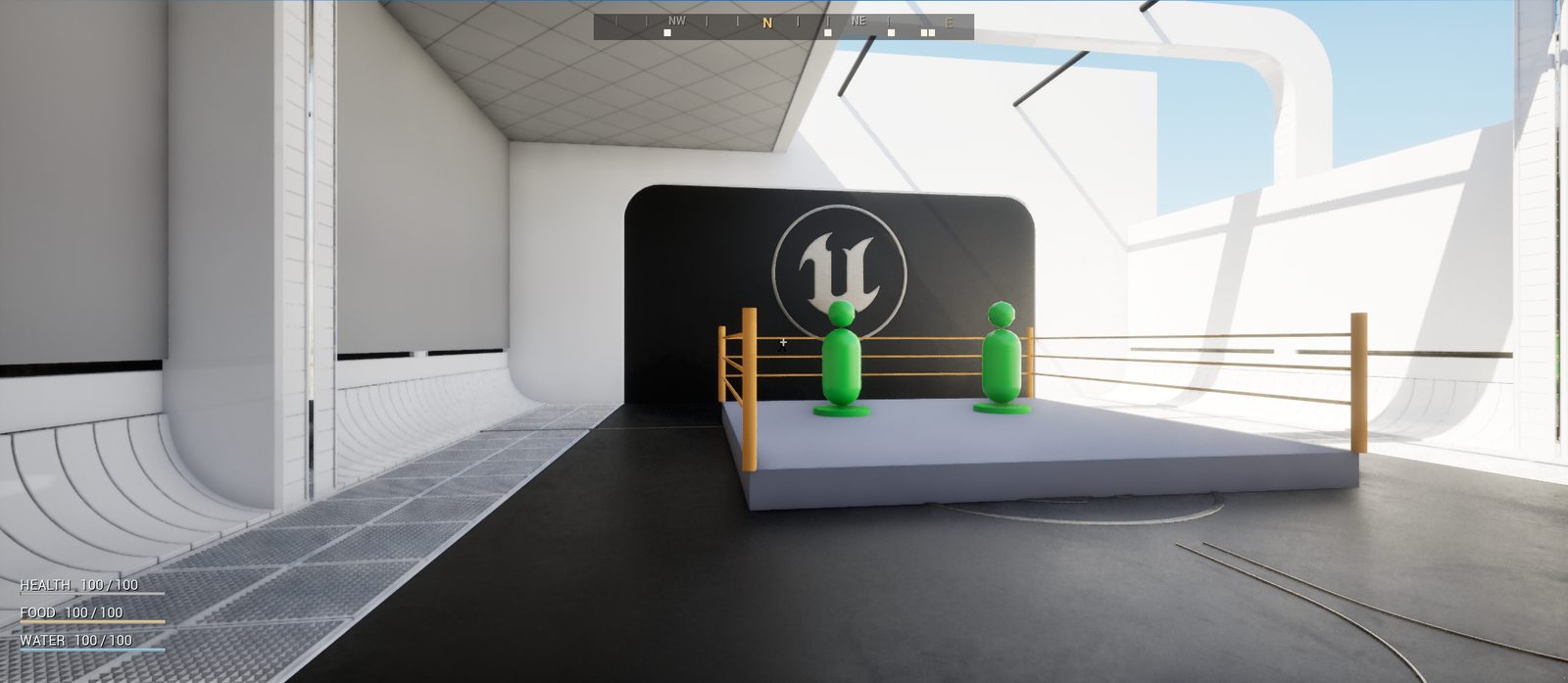 Melee ring with training dummies